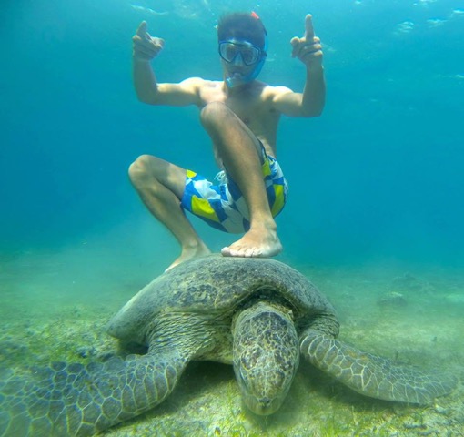 Vie sous-marine : rien n’est respecté