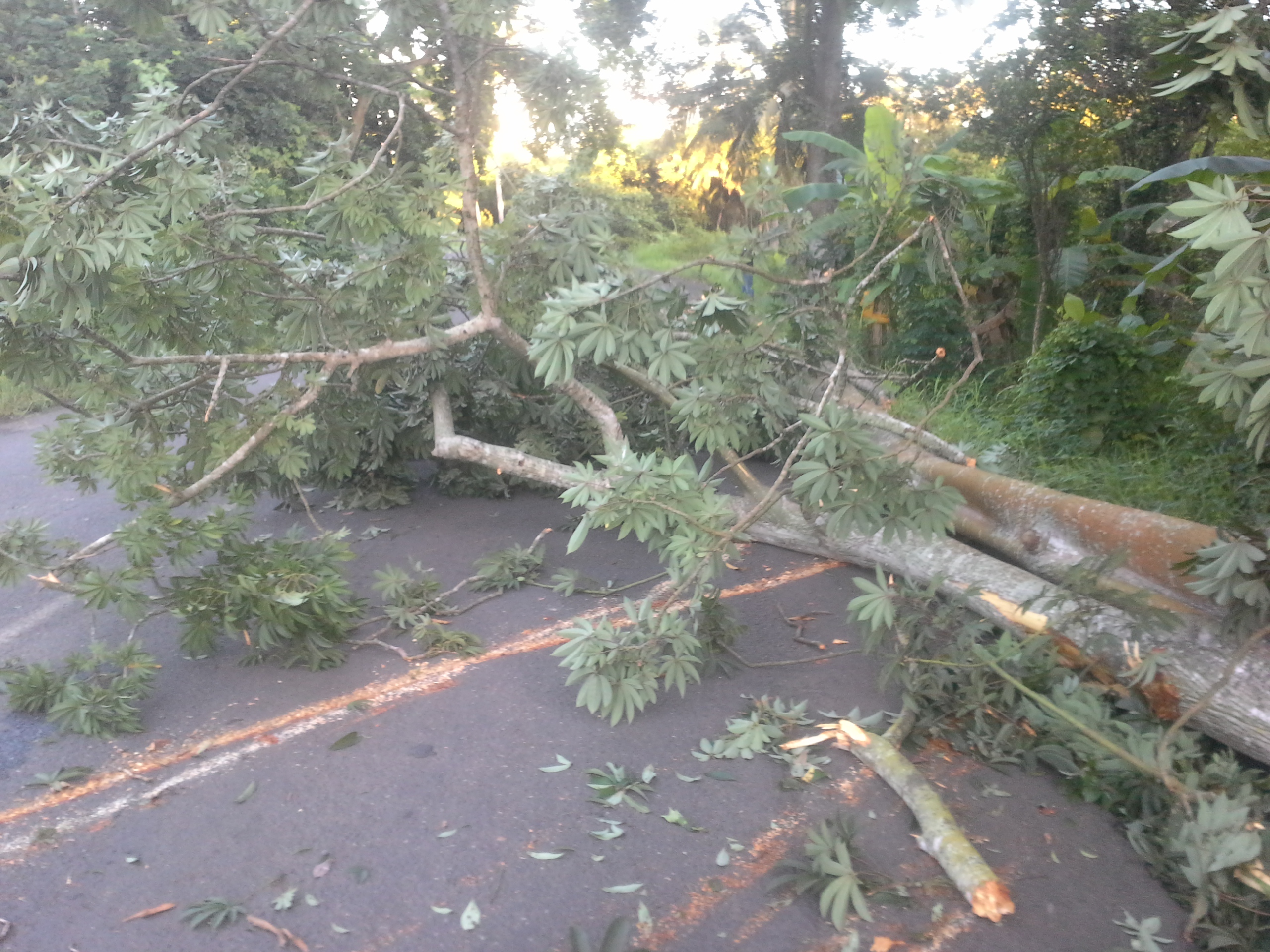 Anecdote du jour : une femme accouche sur un parking