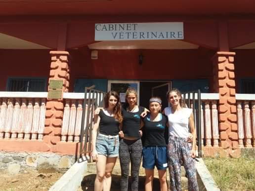 41 stérilisations grâce à l’action de l’association gueules d’amour