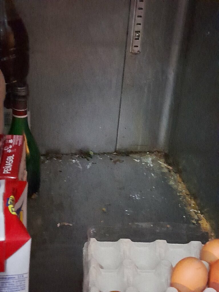 520428567 1163303465827036 5494014163182515895 n