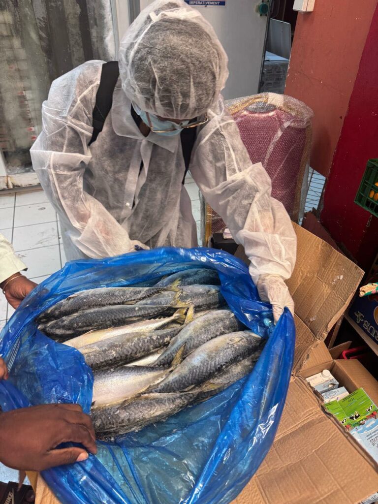 540613496 1175304047960311 4833322576387556721 n