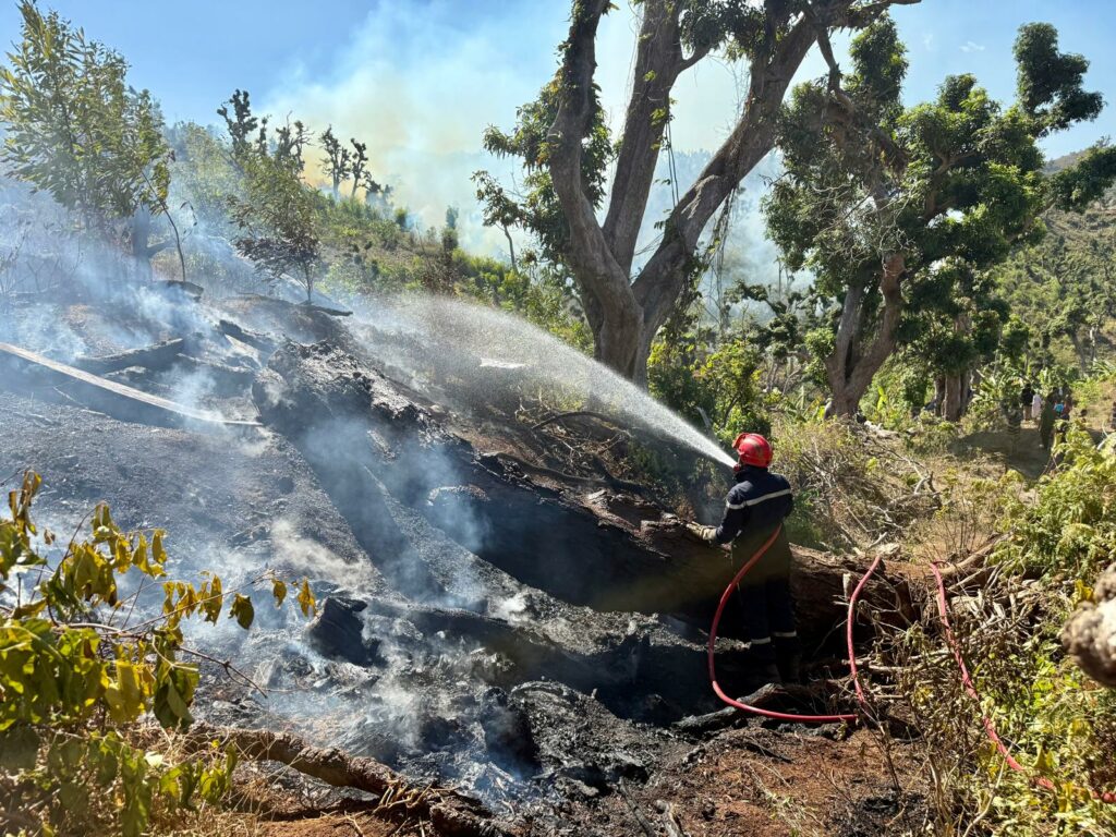 5D929EF9 645C 40DA BFE5 63DFE1AEE74C