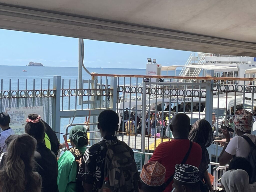 813888D7 B09A 463E 9DA5 B736BF299D6A scaled 1