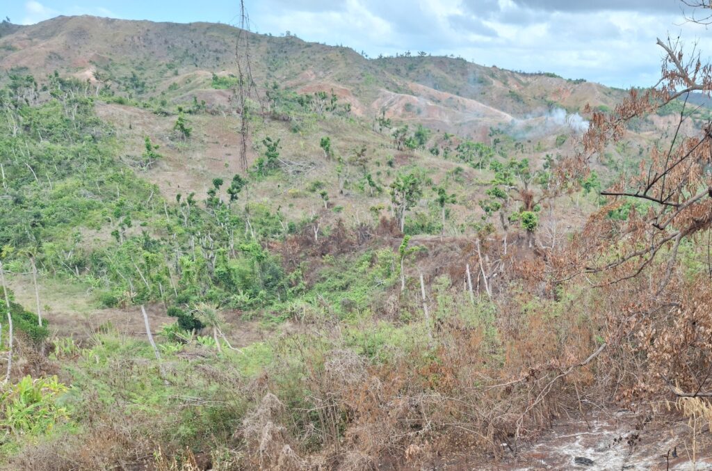 WhatsApp Image 2025 10 28 a 13.20.23 c932b60a