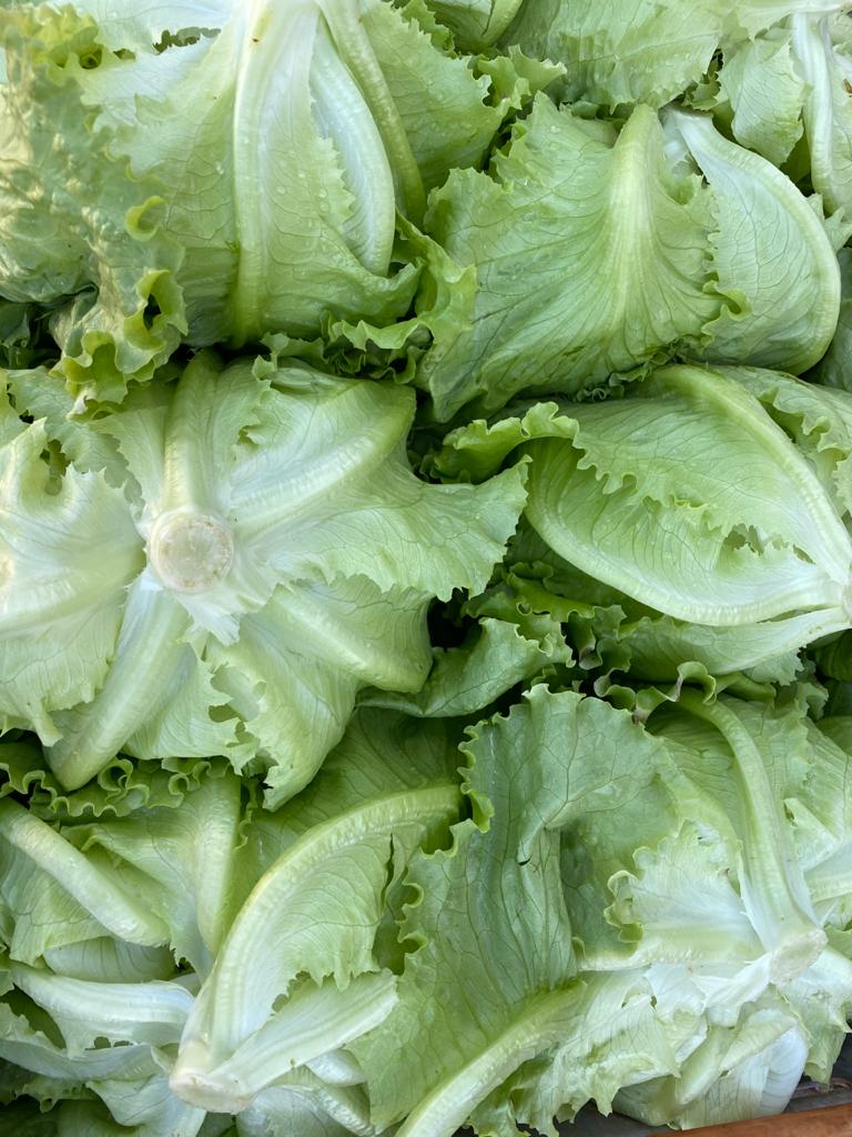 Les agriculteurs du Sud tirent la sonnette d’alarme à Magnambani