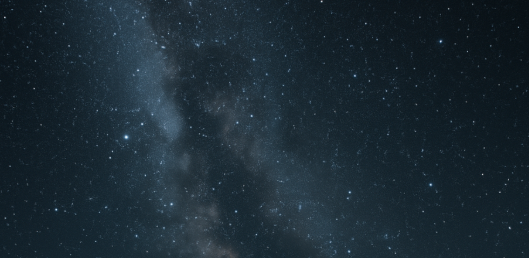 Sous la Nuit du Droit, les secrets de la loi