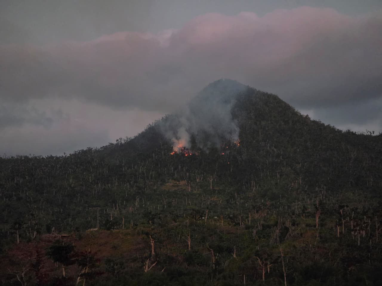 Incendie au Mont Combani (vidéo)