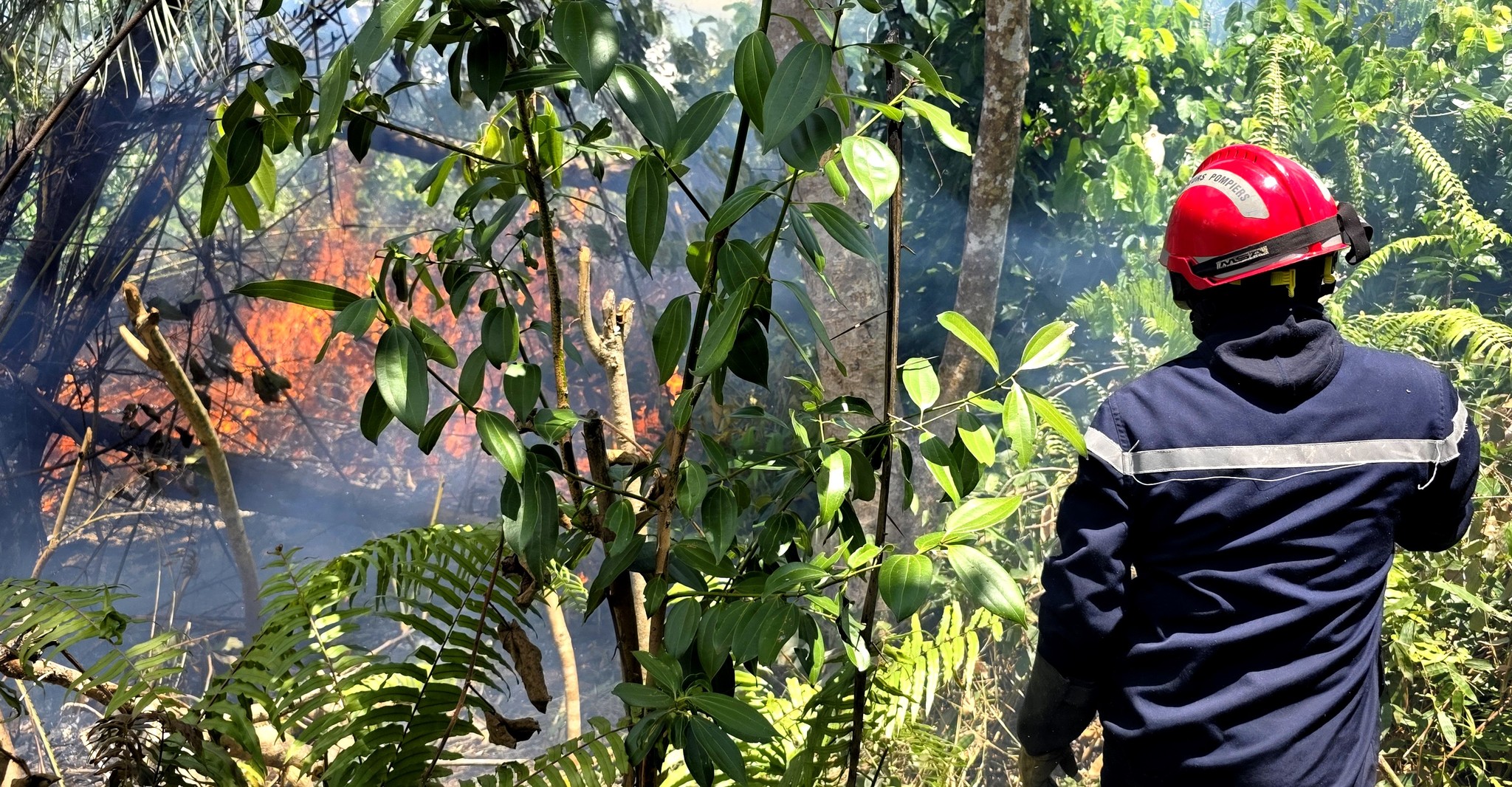 Feu de végétation et violences à Hajangoua