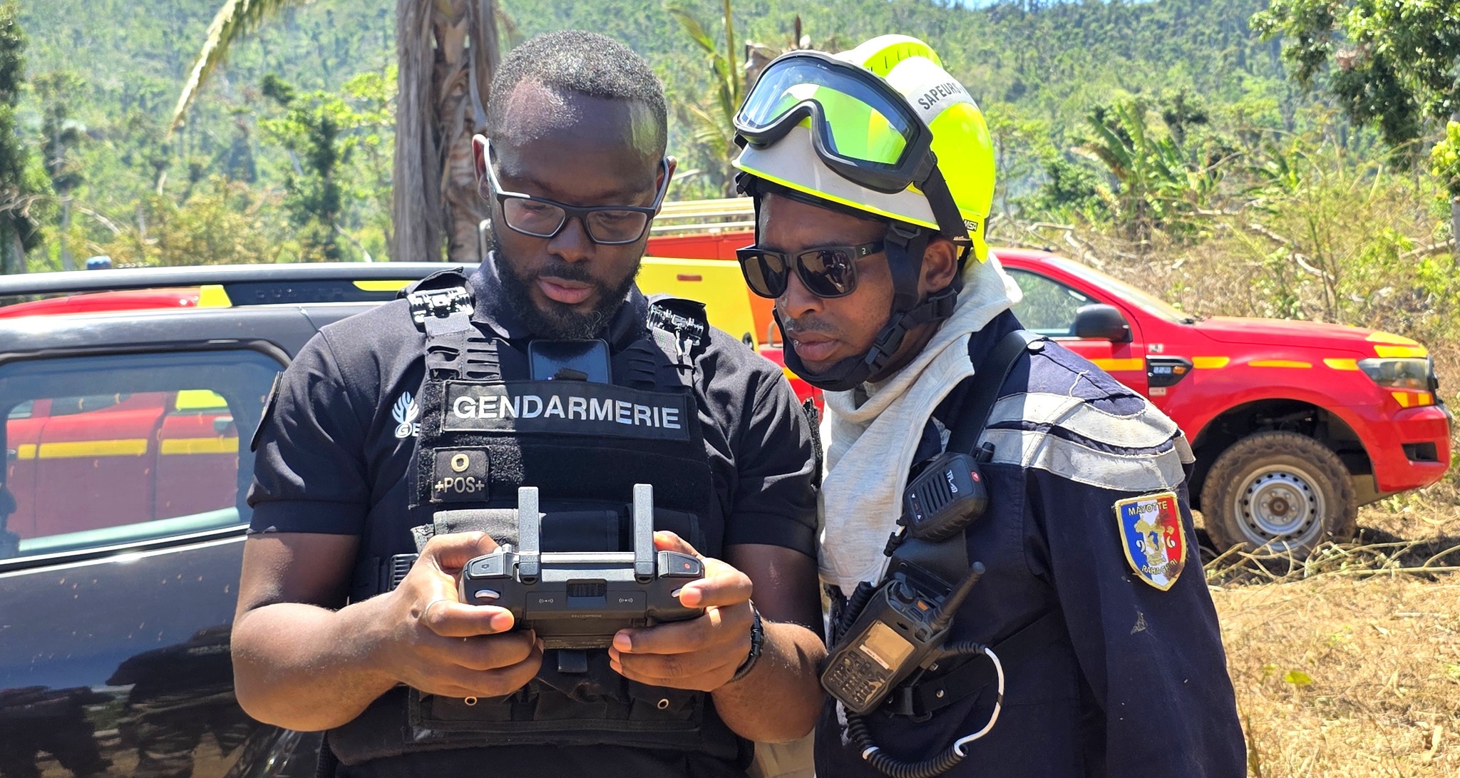 Plus de 25 hectares de forêt détruits à Coconi