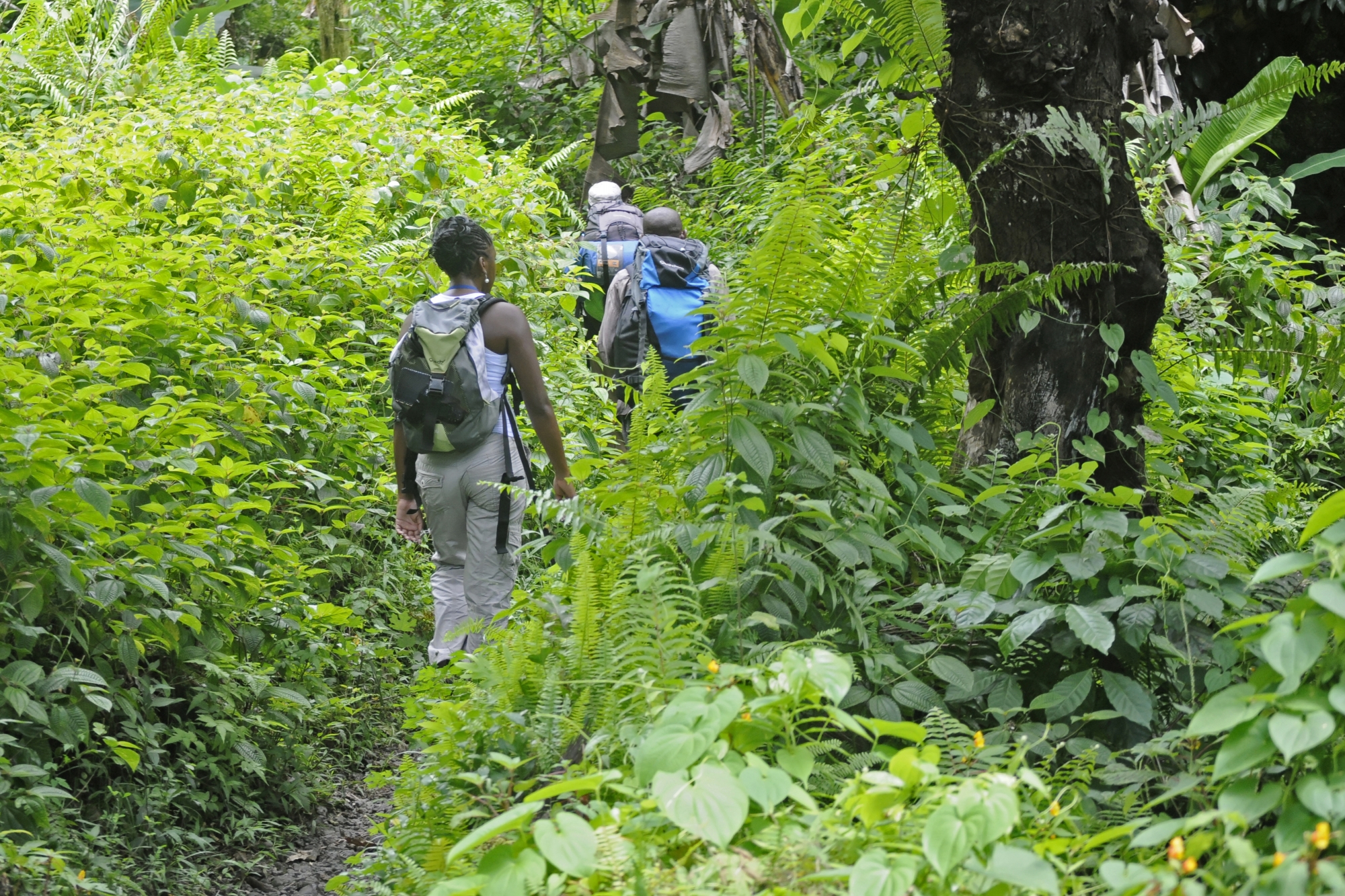 Uzuri Wa Mwendro, la marche vers la renaissance