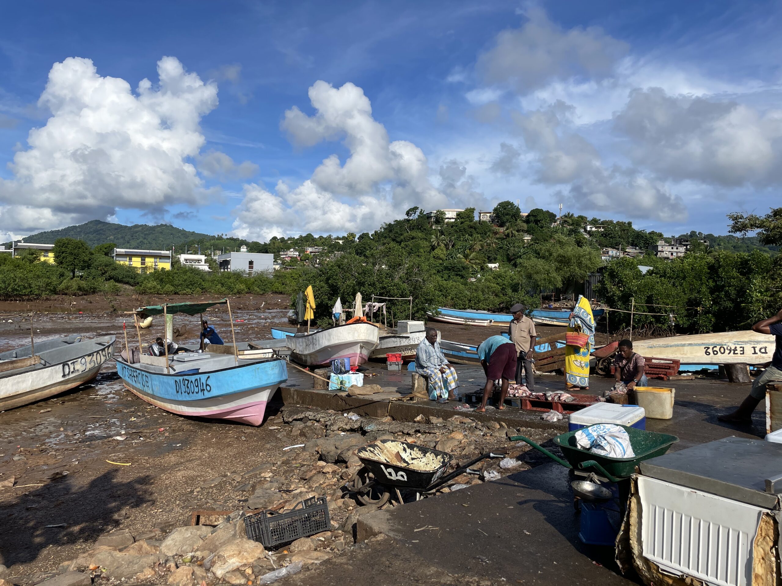 Une possible fraude massive sur la pêche à Mtsapéré