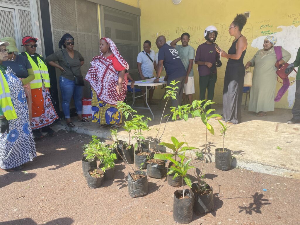 9054C6E8 15A8 431F B85A 3E33EE60B00C scaled 2