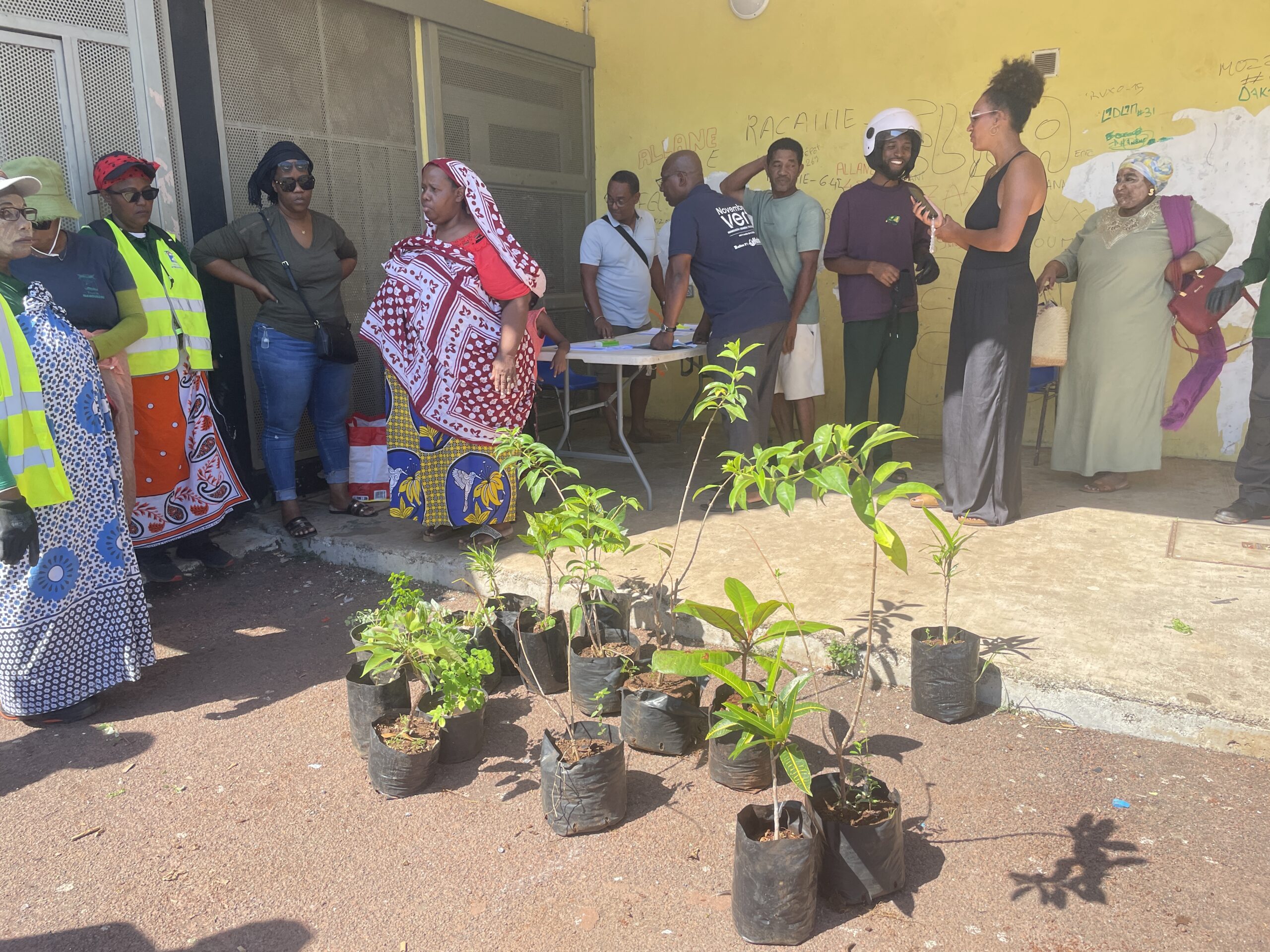 Novembre Vert à Mamoudzou : un engouement qui ne faiblit pas