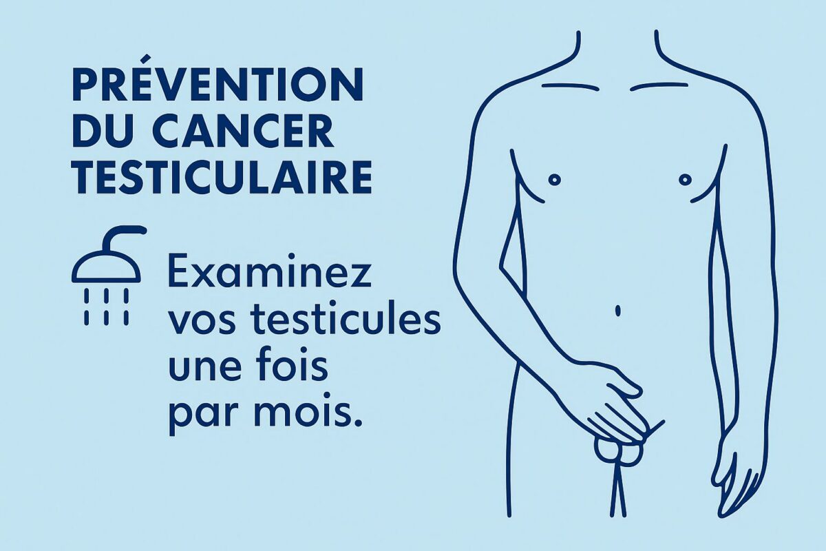 prévention cancer testicule