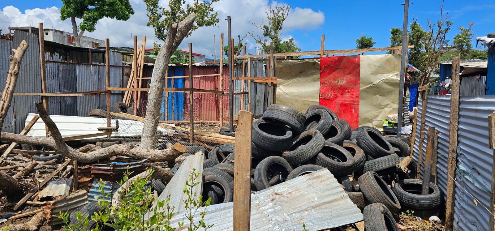 Construction illégale stoppée dans la mangrove de Mamoudzou