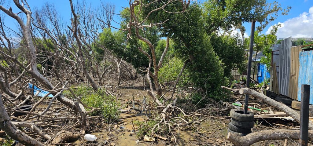 WhatsApp Image 2025 11 29 at 10.52.41