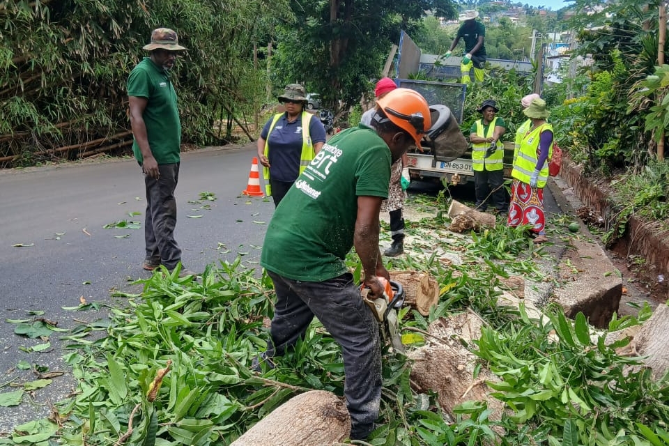 Les équipes des espaces verts de Mamoudzou préparent la saison des pluies en coupant les arbre fragilisés par Chido (vidéo)