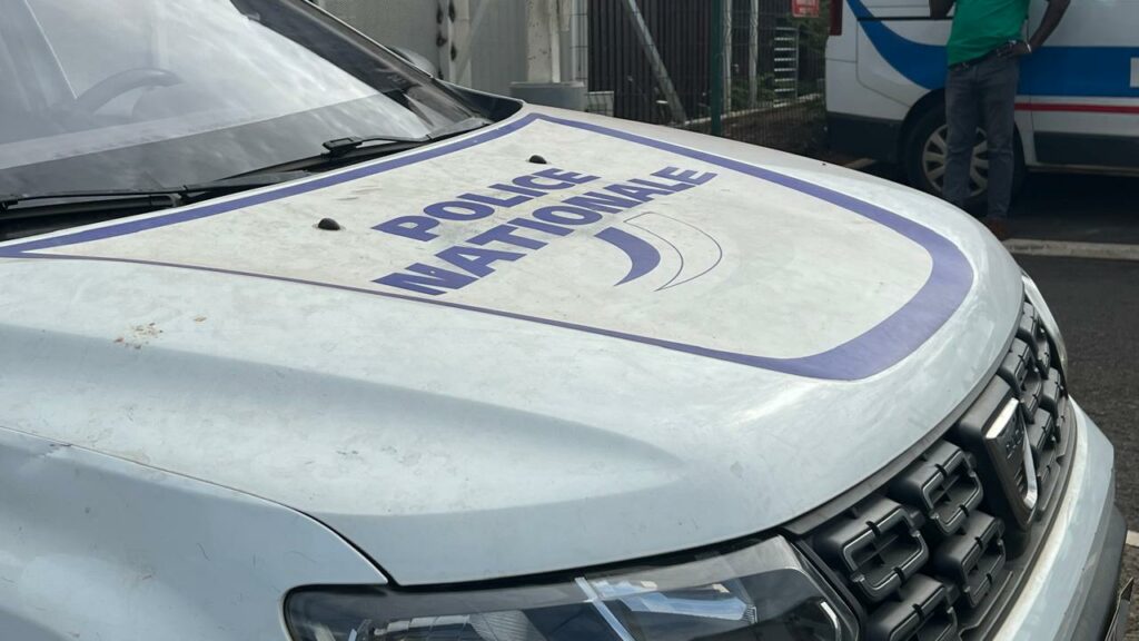 f44bec76 7498 4504 a02e f011a686997e 1