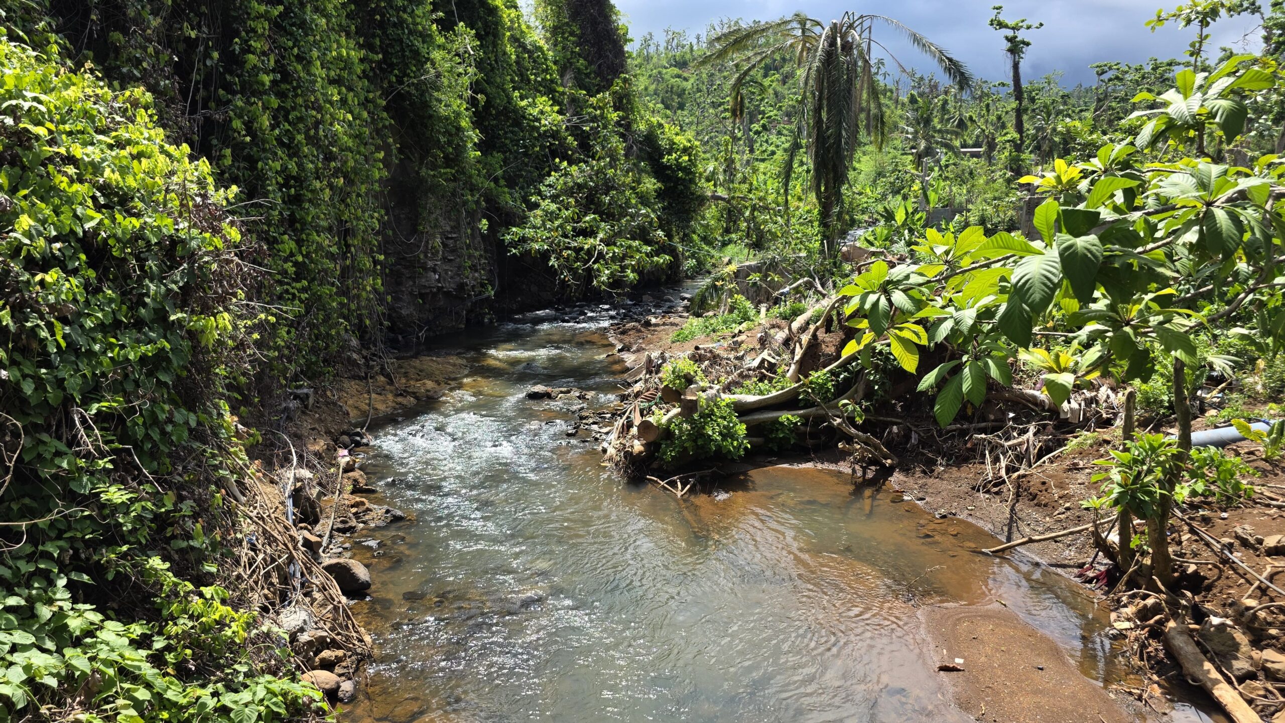 Appel à bénévoles du 19 novembre au 7 décembre 2025 pour restaurer les cours d’eau et nettoyer les rivières