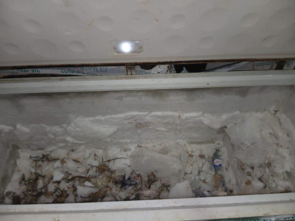 La stratégie du CODAF comme levier de conformité : impact économique, sanitaire et sécuritaire à Mayotte 1 CODAF à Mayotte