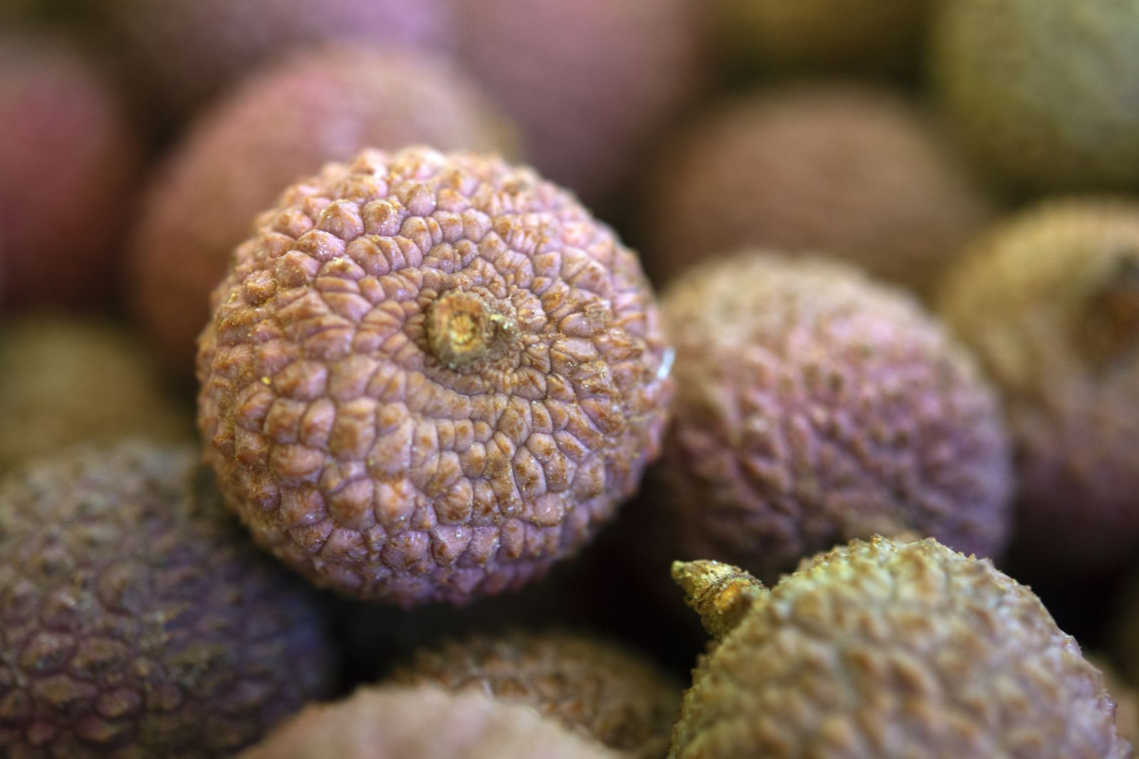 Litchis d’Ouangani : une production toujours détruite après le cyclone Chido