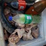 Contrôles CODAF : deux restaurants fermés pour risques sanitaires