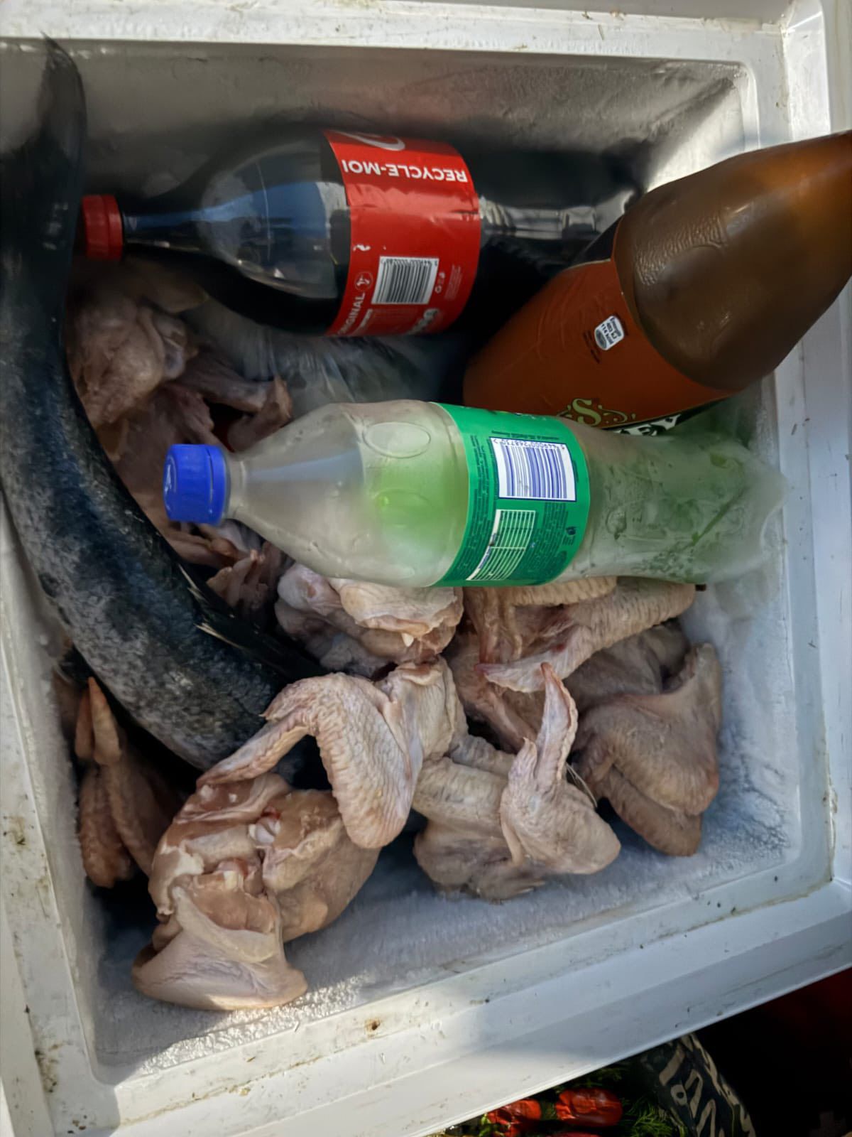 Contrôles CODAF : deux restaurants fermés pour risques sanitaires