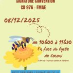 Accueil 10 Coconi butine déjà l’avenir : quand Mayotte mise sur...