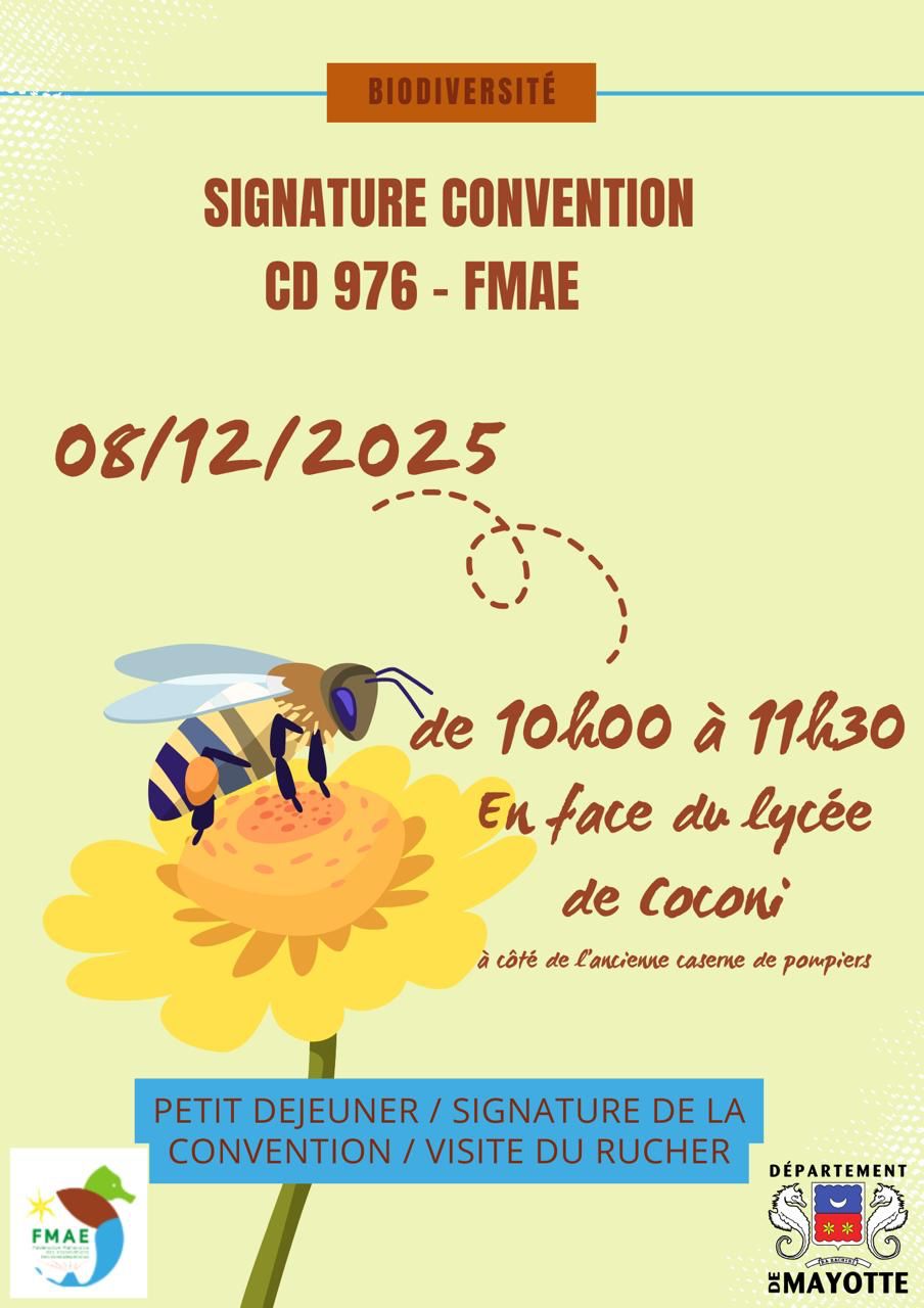 Coconi butine déjà l’avenir : quand Mayotte mise sur les abeilles pour sauver la biodiversité