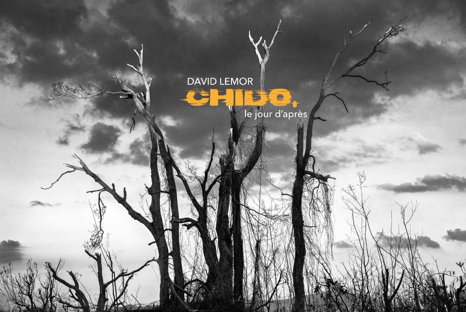 CHIDO, un an après : la mémoire d’une île brisée mais debout