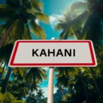 Accueil 4 Barrages nocturnes et violences sur la D1 à Kahani