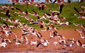 Accueil 25 WhatsApp Image 2025 12 17 at 06.45.54