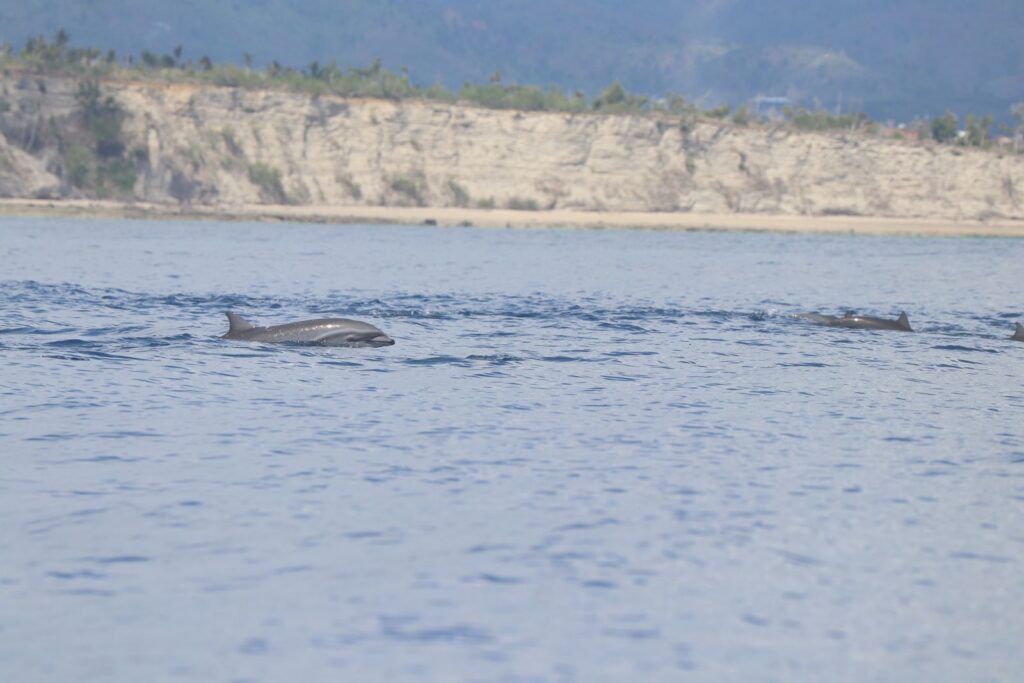 WhatsApp Image 2025 12 19 at 07.18.13