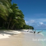 Accueil 5 La France est déjà en 2026 !