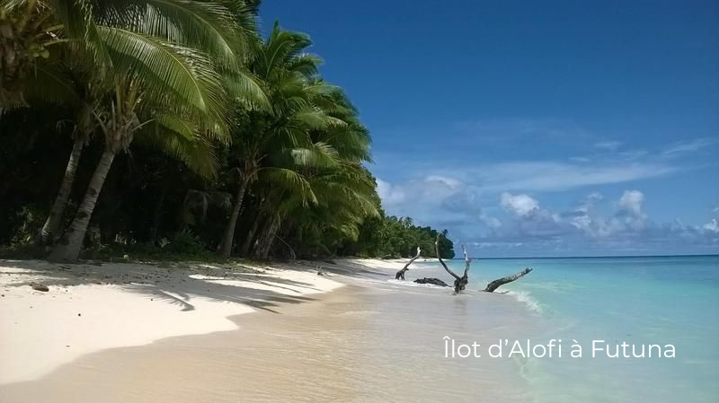 La France est déjà en 2026 !
