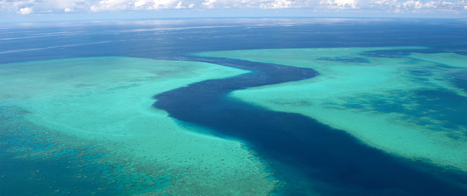 Lagon de Mayotte : la candidature à l’Unesco relancée en 2025