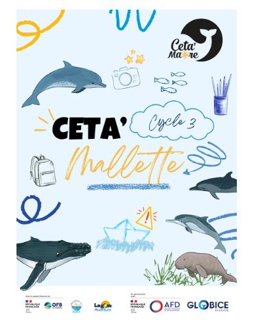 Une mallette pour mieux comprendre les mammifères marins