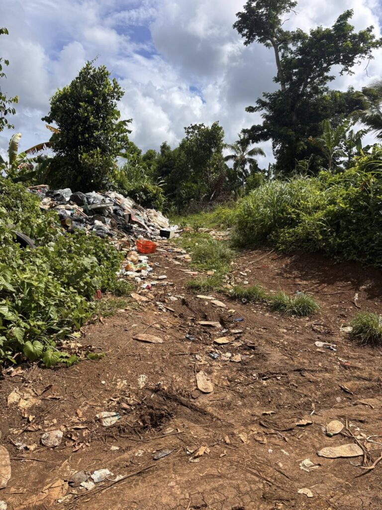 631785828 122169870296631926 3097600499922301084 n