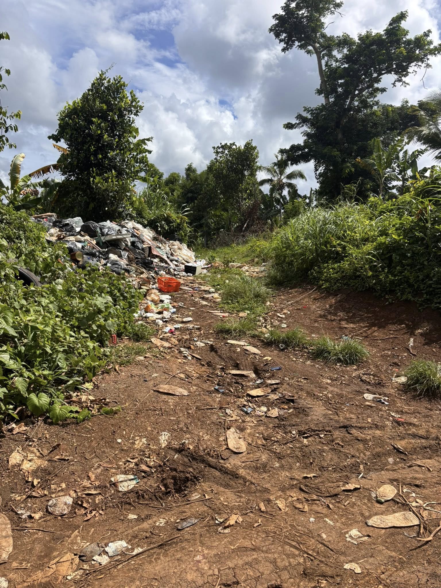 Dépôt sauvage à Bandrandzia, la mairie interpellée