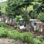 Décasage du bidonville de la Gouloue, la fin d’un...