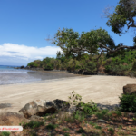Découverte d’un corps sur une plage de Boueni