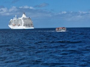 WhatsApp Image 2026 02 03 at 07.42.05