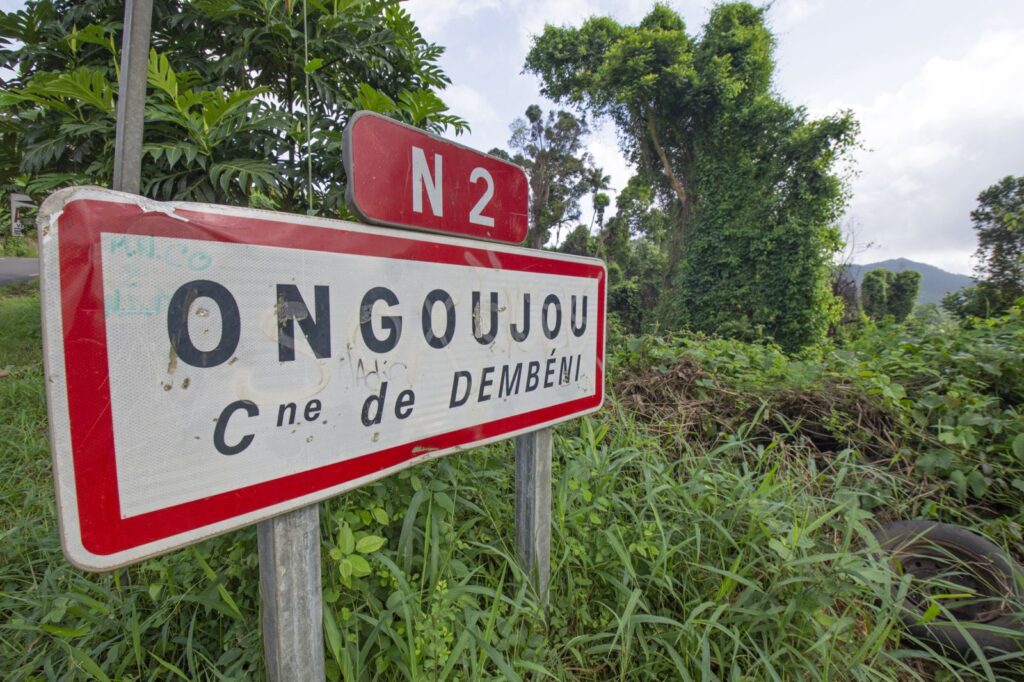 WhatsApp Image 2026 02 05 at 03.52.01