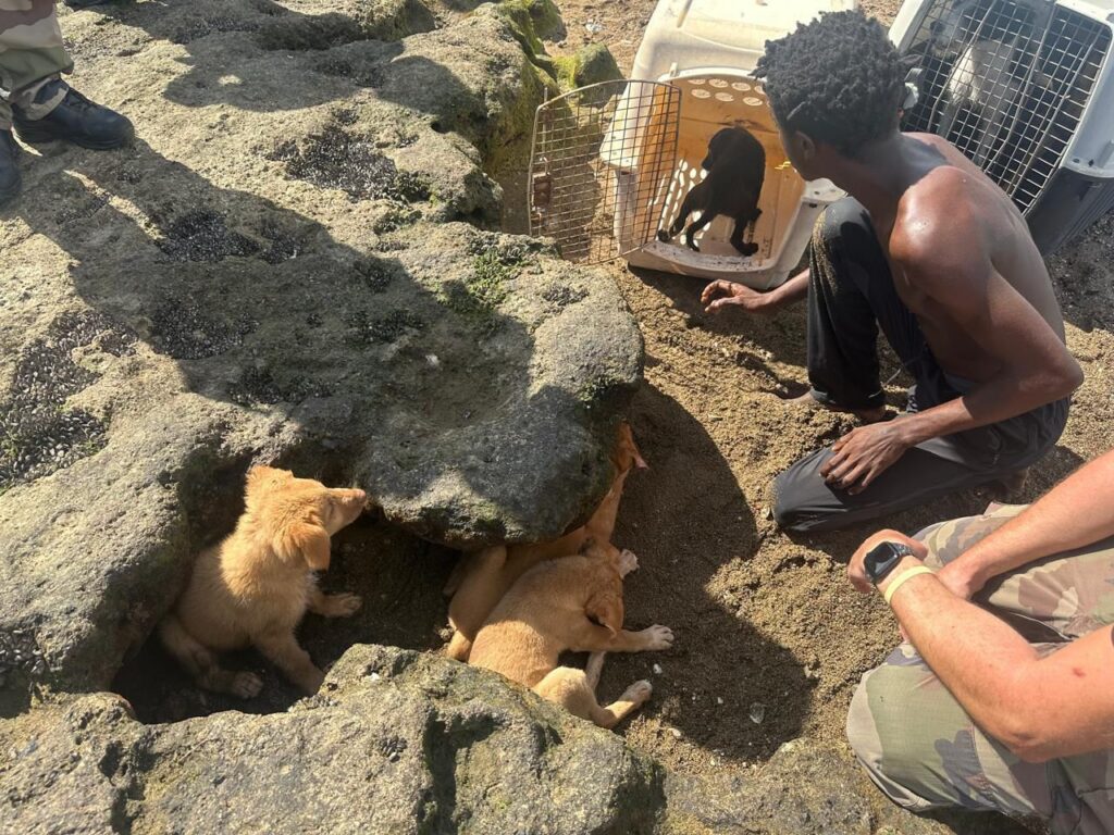 WhatsApp Image 2026 02 12 at 16.28.30 1