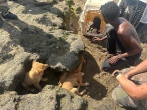 WhatsApp Image 2026 02 12 at 16.28.30 1