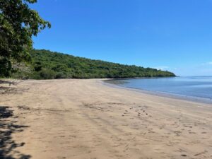 WhatsApp Image 2026 02 17 at 14.10.33