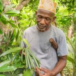Accueil 9 La vanille mahoraise récompensée à Paris au Concours Général...