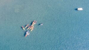 10000384694888235730921485621