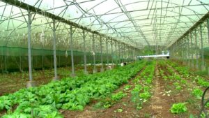 enseignement agricole Mayotte ordonnance 2026