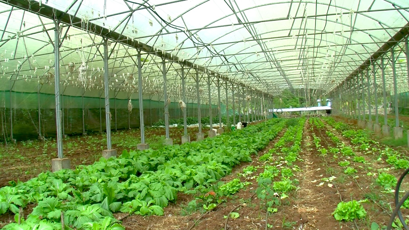 Enseignement agricole : ce qui change à Mayotte